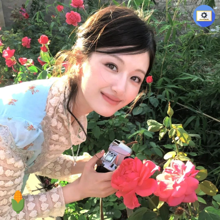 宋佳女士